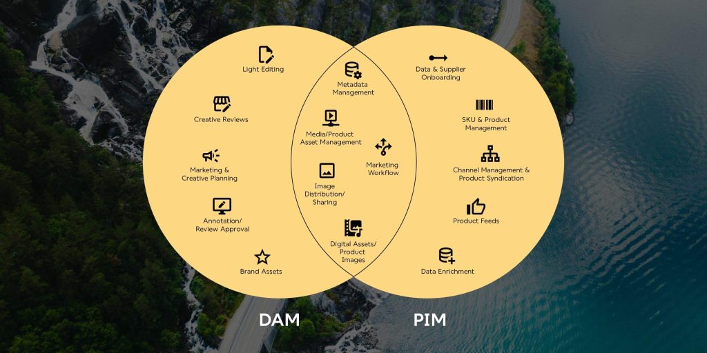 PIM vs DAM venn diagram