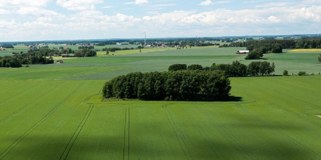 Lantmännen green fields