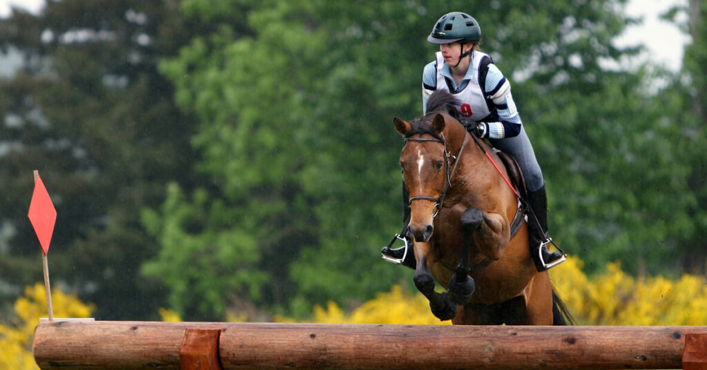 horse jumping fences with rider