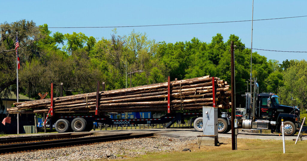 truck loaded with freshly cut logs