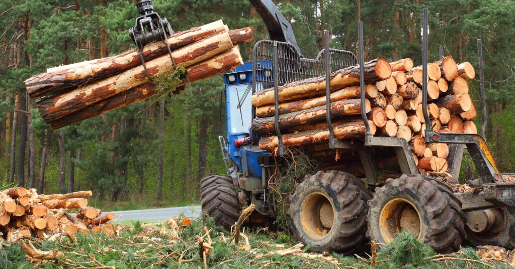 logging with tractor in forest