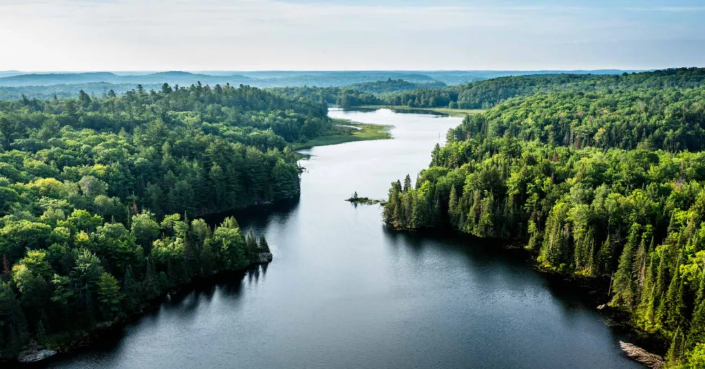 Aerial view of a lake and forest in the morning with mist over the forest in the distant horizon